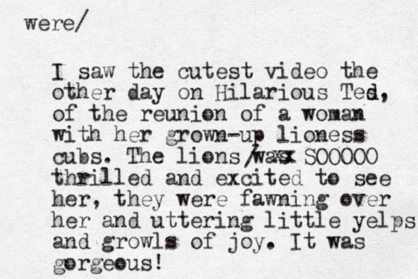I saw the cutest video the other day on Hilarious Tes d d, of the reunion of a woman with her grown-up lioness cubs. The lions was SOOOOO thrilled and excited to see her, they were fawning over her and uttering little yelps and growls of joy. It was gorgeous! xx / were/ 