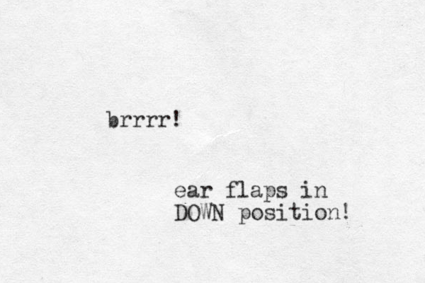 brrrr! ear flaps in DOWN position! 