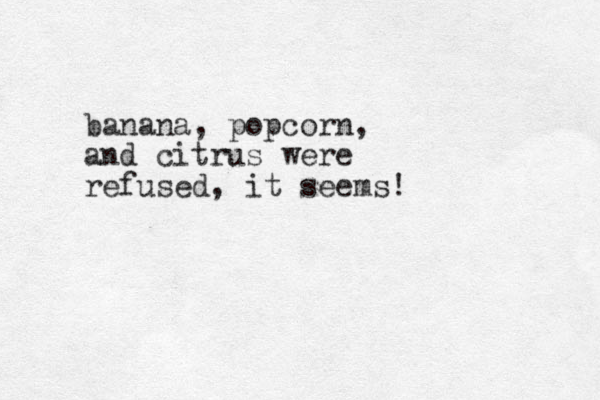 banana, popcorn, and citrus were refused, it seems!