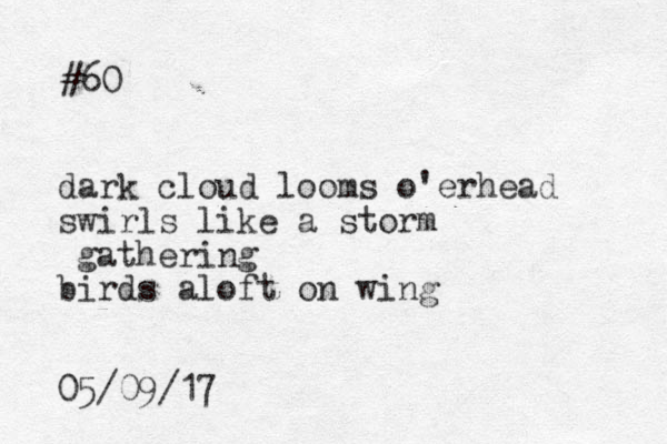 #60 dark cloud looms o'erhead swirls like a storm gathering birds aloft on wing 05/09/17