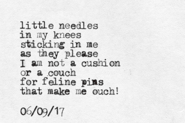 little needles in my knees sticking in me as they please I am not a cushion or a couch for feline pins that make me ouch! 06/09/17 