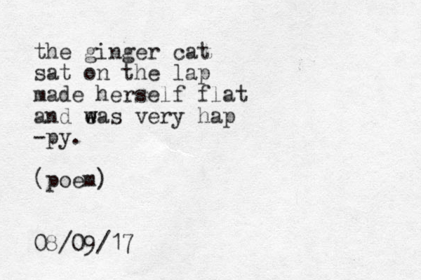 the ginger cat sat on the lap made herself flat and ea w w s very hap -py. (poem) 08/09/17