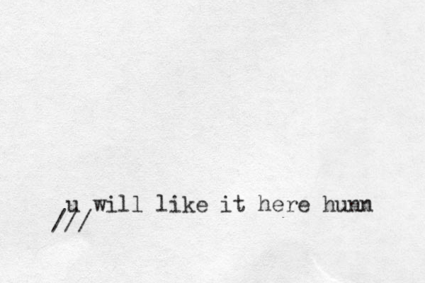 u will like it here hunn ///
