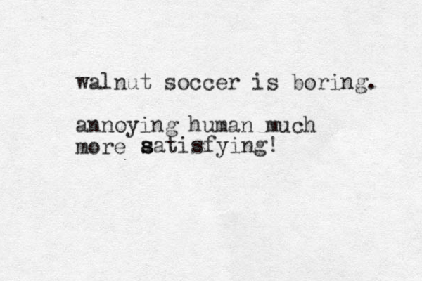 walnut soccer is boring. annoying human much more a s satisfying!