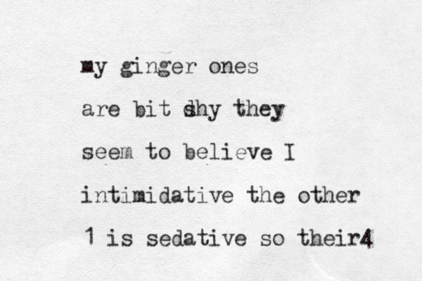 my ginger ones are bit d shy they seem to believe I intimidative the other 1 is sedative so their4 