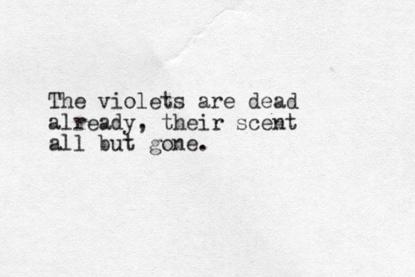 The violets are dead already, their scent all but gone.