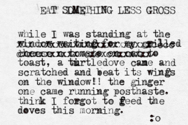 while I was standing at the window waitinf g g for my grilled chees e n tomato on oat to toast, a tirtle u u dove cane and m scratched and beat its winf g gs on the window!! the ginger one came running posthaste. think I forgot to g f feed the doves this morning. :o xxxxxxxxxxxxxxxxxxxxxxxxcccc dxxxxxxxxxxxcxcxcxxxxxxx EAT SLME OMETHING LESS GROSS 