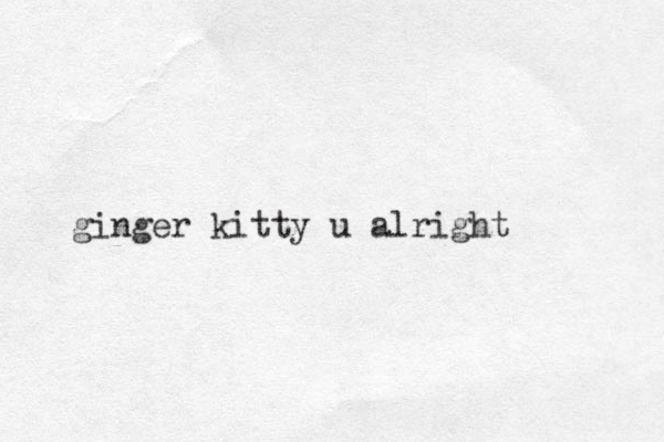 ginger kitty u alright