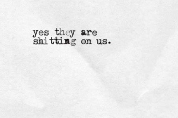 yes they are shitting on us.