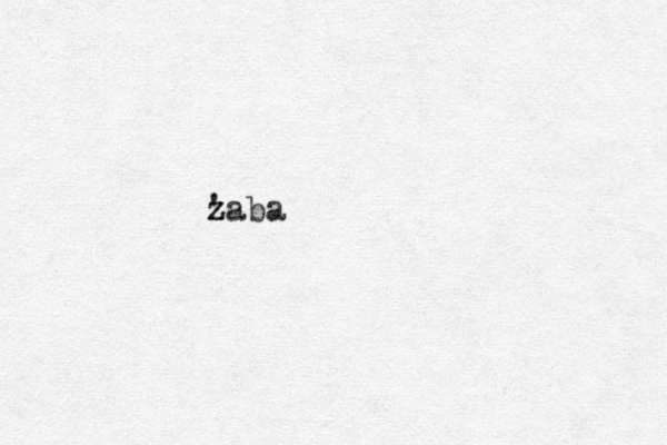 zaba z ' 