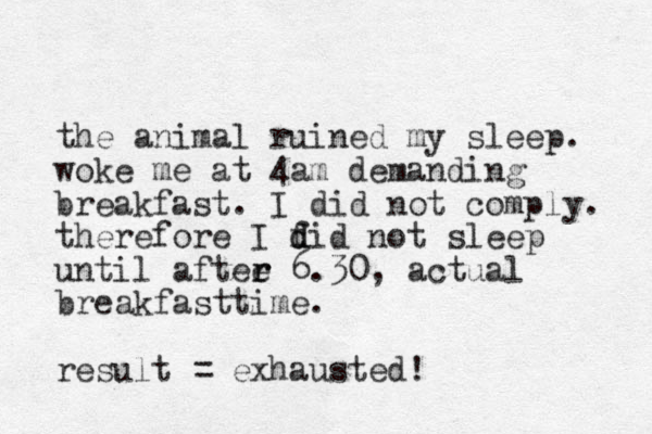the animal ruined my sleep. woke me at 4am demanding breakfast. I did not comply. therefore I f d did not sleep until aftee r r 6.30, actual breakfast time. result = exhausted! 