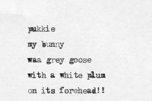pukkie my bunny waa grey goose with a white plum on its forehead!!