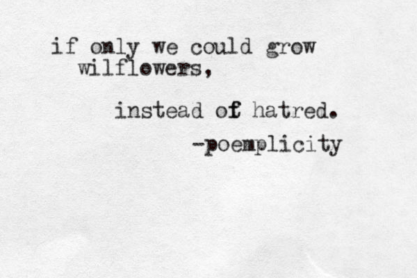 if only we could grow wilflowers, instead ot f f hatred. -poemplicity 