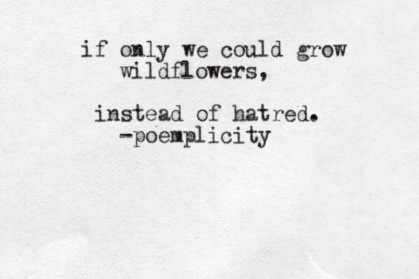 if only we could grow wildflowers, instead of hatred. -poemplicity 