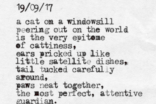 a cat on a windowsill peering out on the world is the very epitome of cattiness, ears pricked up like little satellite dishes, tail tucked carefully around, paws neat together, the most perfect, attentive guardian. 19/09/17