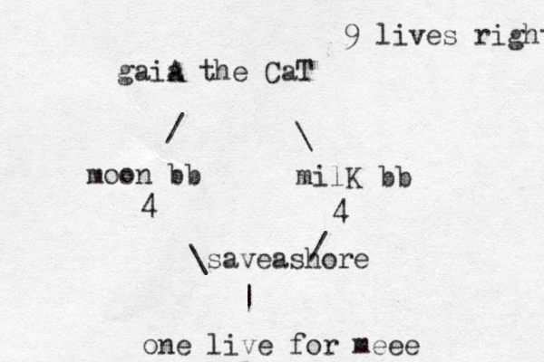 gaia A the CaT / moon bb \ milK bb 4 4 \saveashore / | one live for meee 9 lives right 