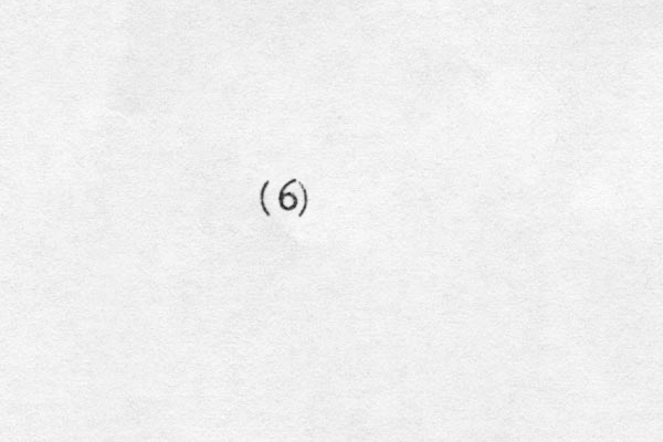 (6)