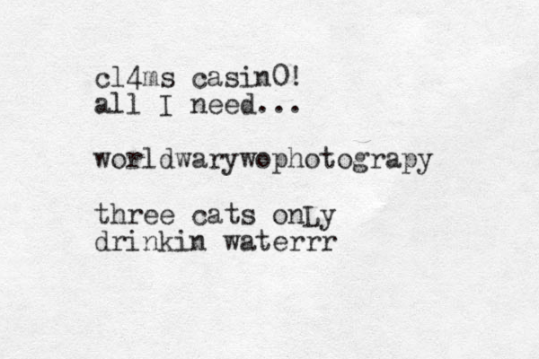 cl4ms casin0! all I need... worldwarywophotograpy three cats onLy drinkin waterrr