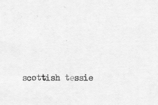scottish tessie