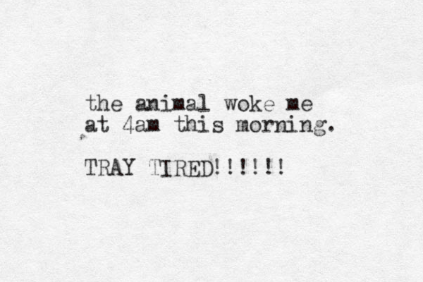 the animal woke me at 4am this morning. TRAY TIRED!!!!!!