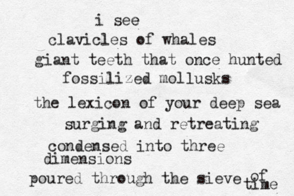 i see e clavicles of whales giant teeth that once hunted fossilized mollusks the lexicon of your deep sea surging and retreating condensed into three dimensions poured through the sieve of time 