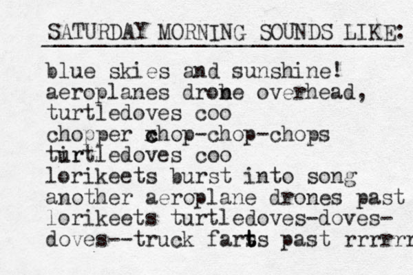 blue skies and sunshine! aeroplanes drob n ne overhead, turtledoves coo chopper xhop c c -chop-chops tir urtledoves coo lorikeets burst into song another aeroplane drones past lorikeets turtledoves-doves- doves--truck fars t t ts past rrrrrrr SATURDAY MORNING SOUNDS LIKE: _____________________________ 