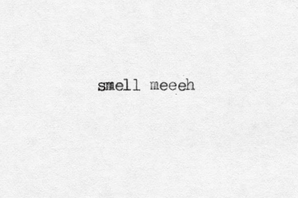 smell meeeh