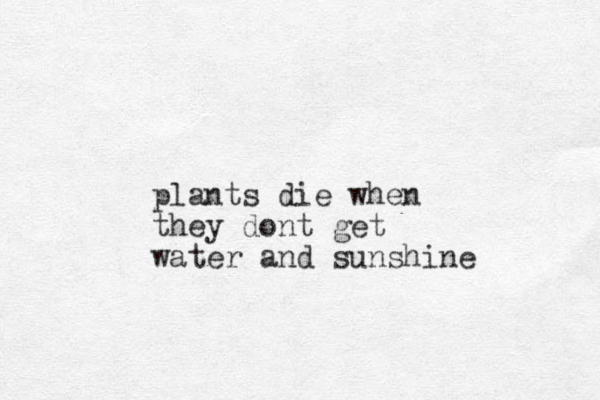 plants die when they dont get water and sunshine