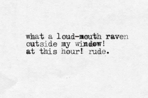 what a loud-mouth raven outside my window! at this hour! rude.