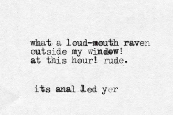 what a loud-mouth raven outside my window! at this hour! rude. its anal led yer