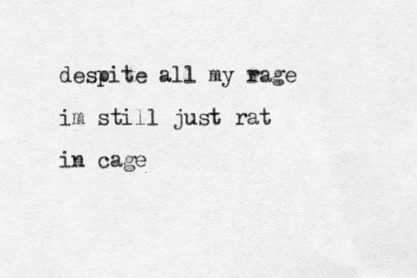 despite all my rage im still just rat in cage