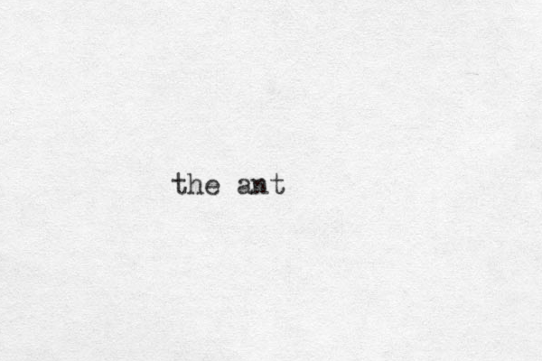 the ant