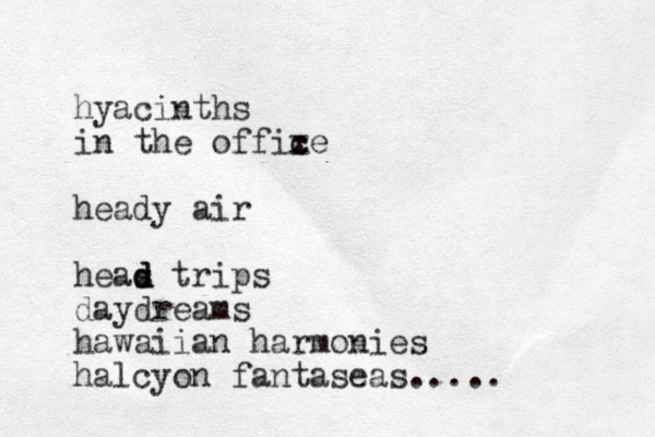 hyacinths in the offixe c c heady air heas d d d trips daydreams hawaiian harmonies halcyon fantaseas.....