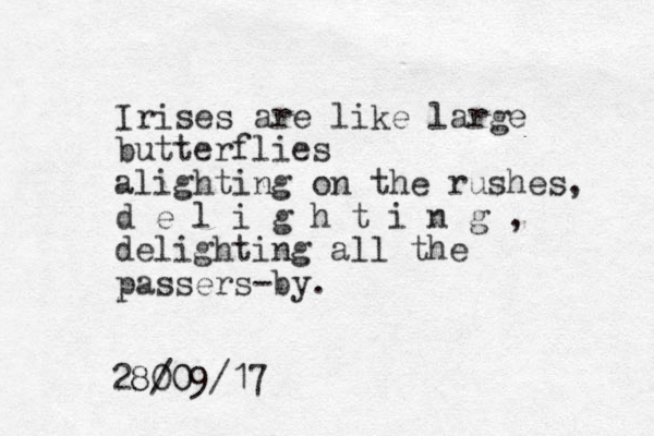 Irises are like large butterflies alighting on the rushes, d e l i g h t i n g , delighting all the passers-by. 28/09/17 00 8