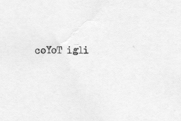 coYoT igli
