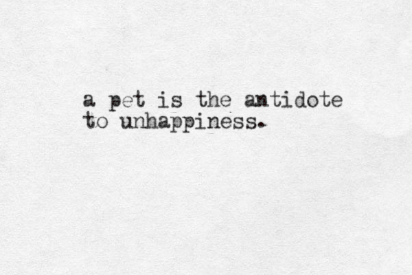 a pet is the antidote to unhappiness.