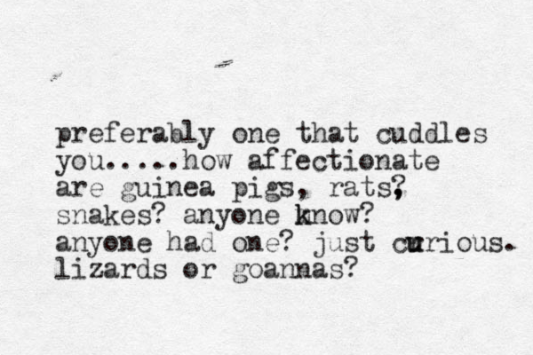 preferably one that cuddles you. ....how affectionate are guinea pigs, rats? , , snakes? anyone mnow? k k anyone had one? just cr u urious. lizards or goannas?