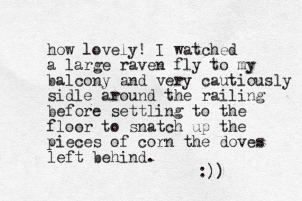 how lovely! I watched a large raven fly to my balcony and very cautiously sidle around the railing before settling to the floor to snatch up the pieces of corn the doves left behind. :))