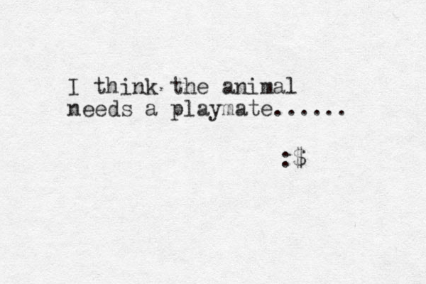 I think the animal needs a playmate...... :$