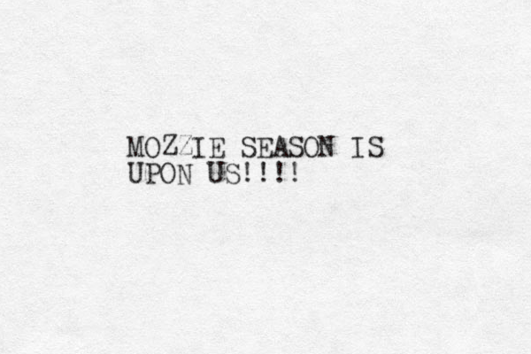 MOZZIE SEASON IS UPON US!!!! 
