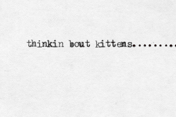 thinkin bout kittens......... 