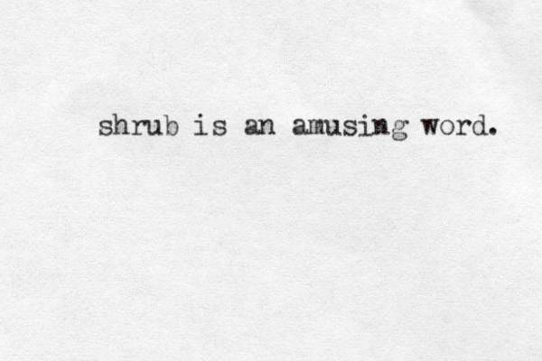 shrub is an amusing word. 