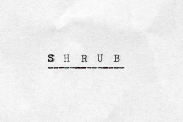 S H R U B -------------- 