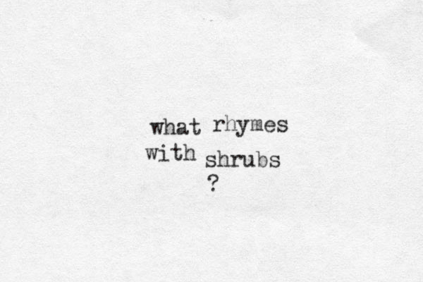 what rhymes with shrubs ?