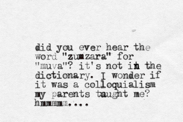 did you ever hear the word "zumzara" for "muva"? it's not it n n the dictionary. I wonder if it was a colloquialism my parents tu aught me? hmmmmm.... 