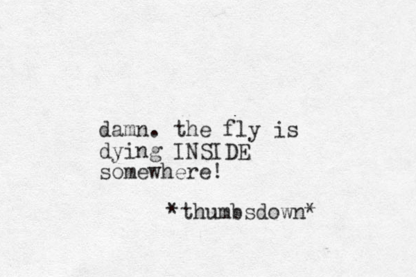 damn. the fly is dying I SIDE N somewhere! *thumbsdown*