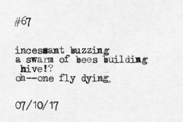 #67 incessant buzzing a swarm of bees building n h hive!? oh--one fly dying 07/10/17 