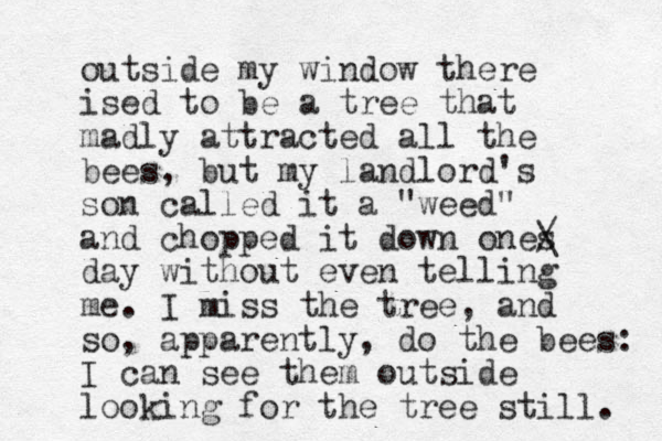 outside my window there ised to be a tree that madly attracted all the bees, but my landlord's son called it a "weed" and chopped it down ones / \ day without even telling me. I miss the tree, and so, apparently, do the bees: I can see them outside looking for the tree still. 