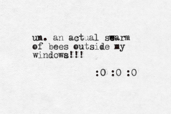 un. an actual searm e w of bees outside my windowa s!!! :0 :0 :0 