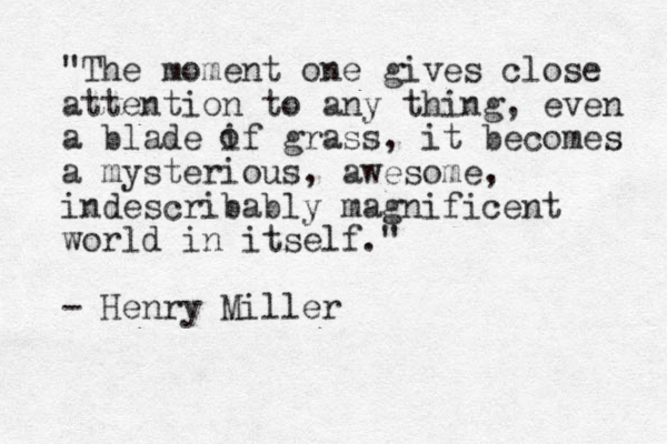 "The moment one gives close attention to any thing, even a blade if grass, it becomes a mysterious, awesome, indescribably magnificent world in itself." - Henry Miller o 